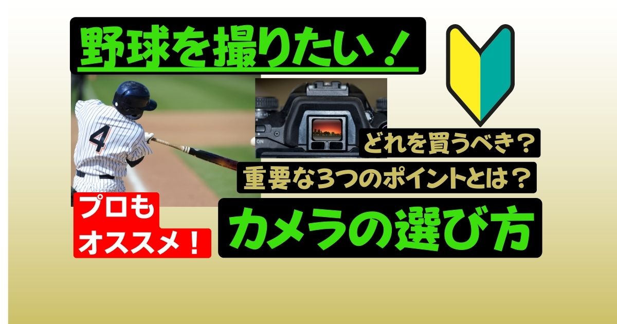 スポーツ写真家推奨！野球撮影用カメラの選び方を解説