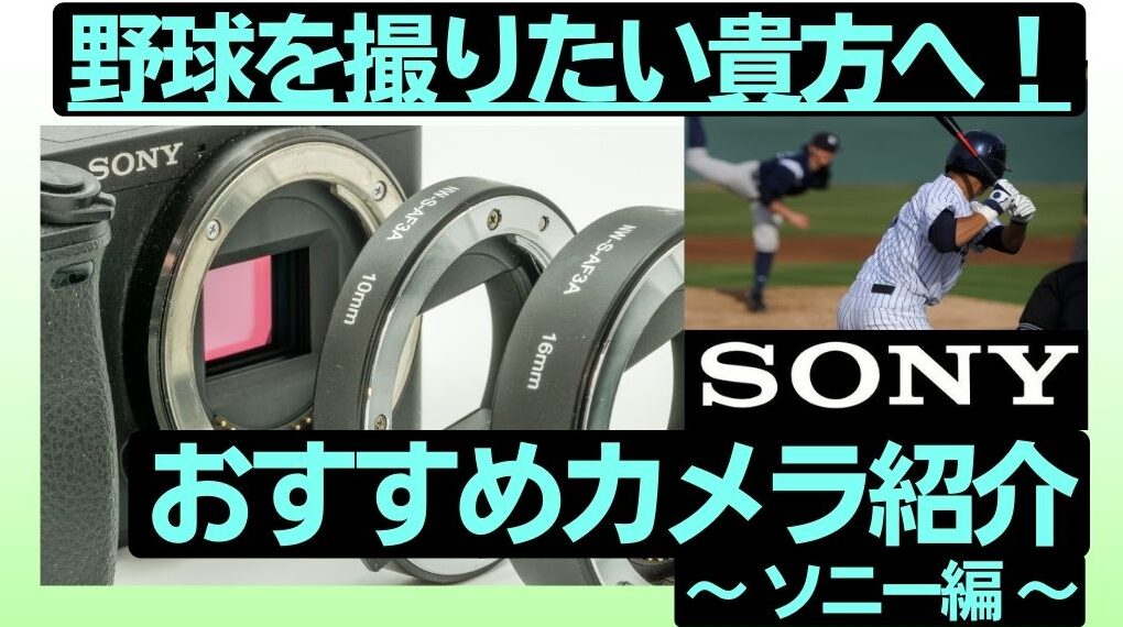 初心者必見！野球の撮影にオススメの一眼カメラvol.1[ソニー編]